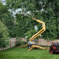 Best Tree Trimming and Pruning  in South Henderson, NC